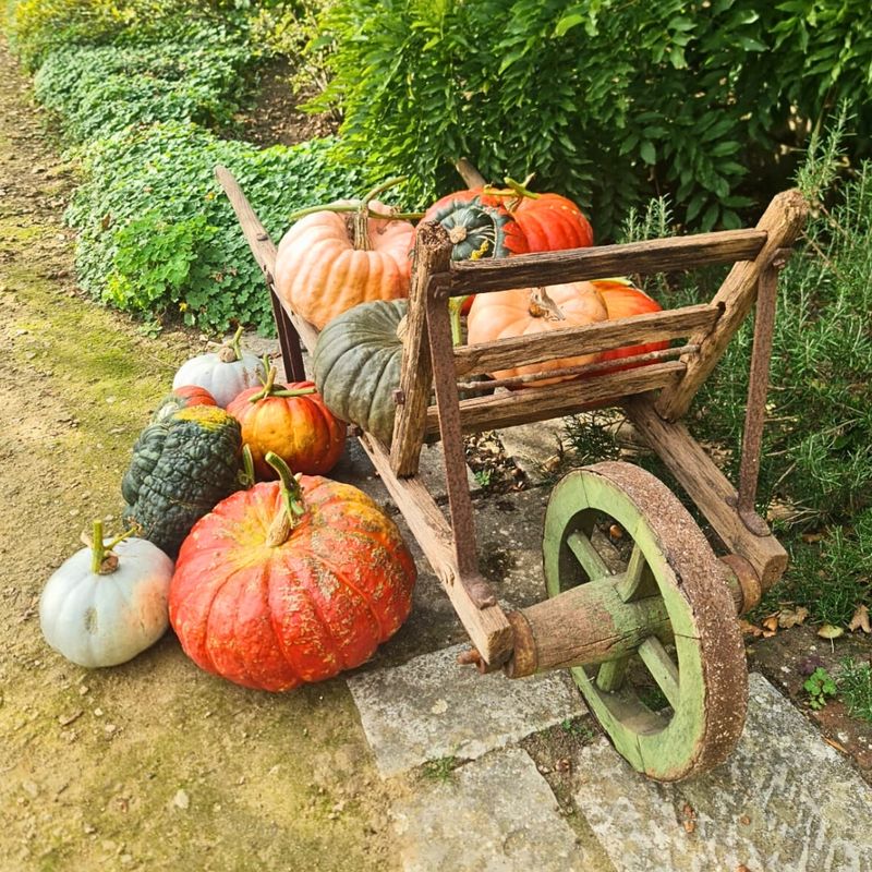 Wheelbarrow Pumpkin Display