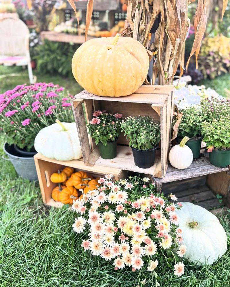 Wooden Box Garden Centerpiece