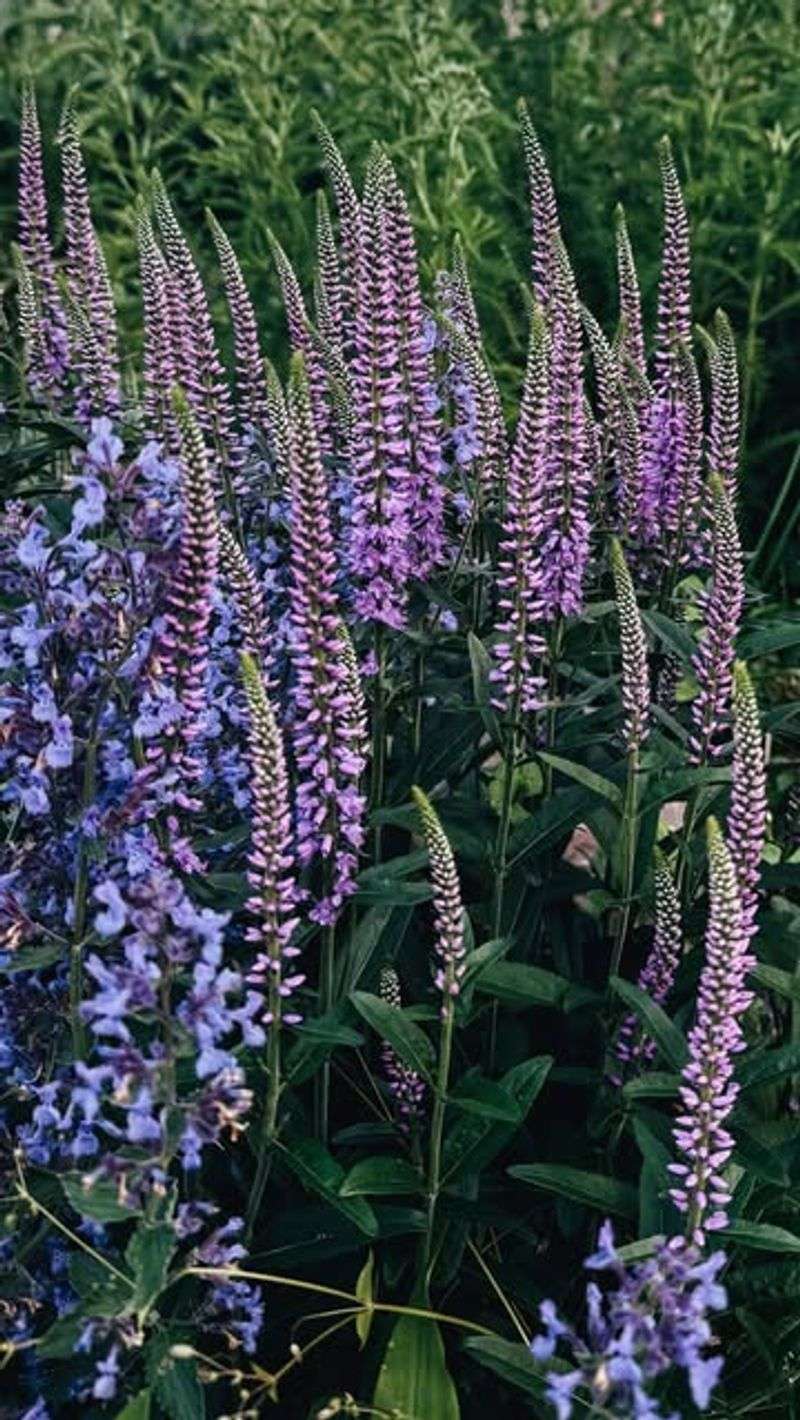 Color You'll Appreciate Long Before Summer Arrives