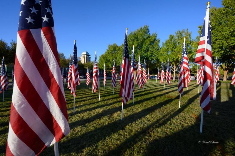 Decorative Yard Flags And Excessive Signage