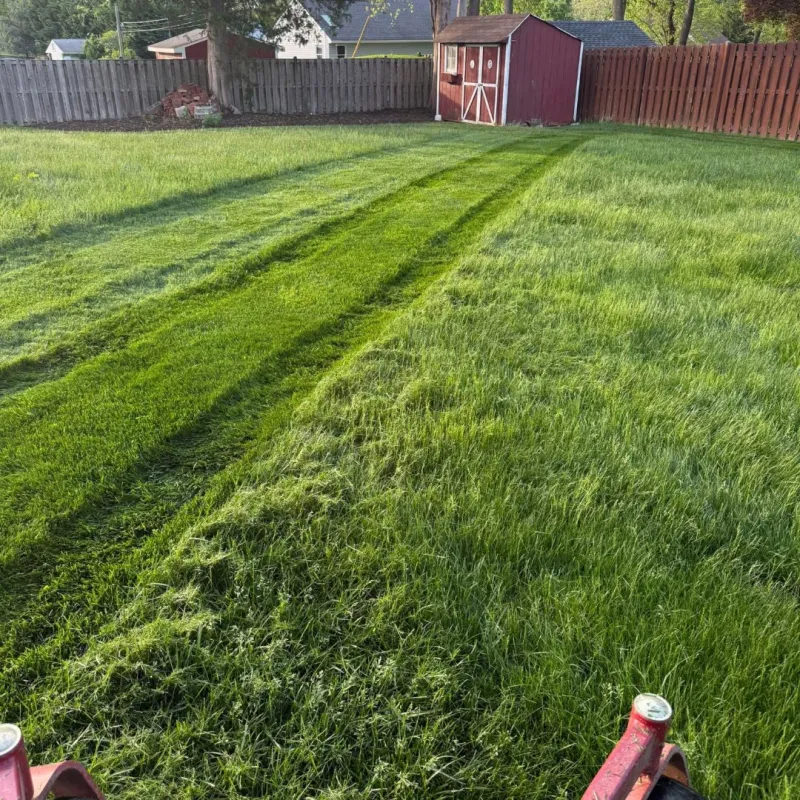 Stopping Lawn Care Too Early