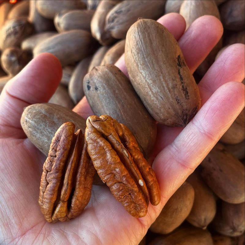 Pecans