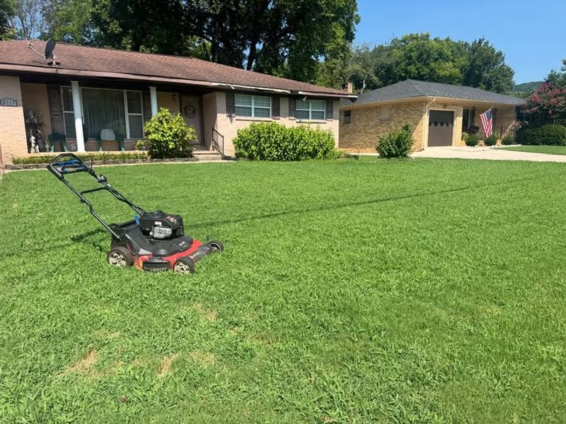 Maintain Short Grass And Remove Dense Cover