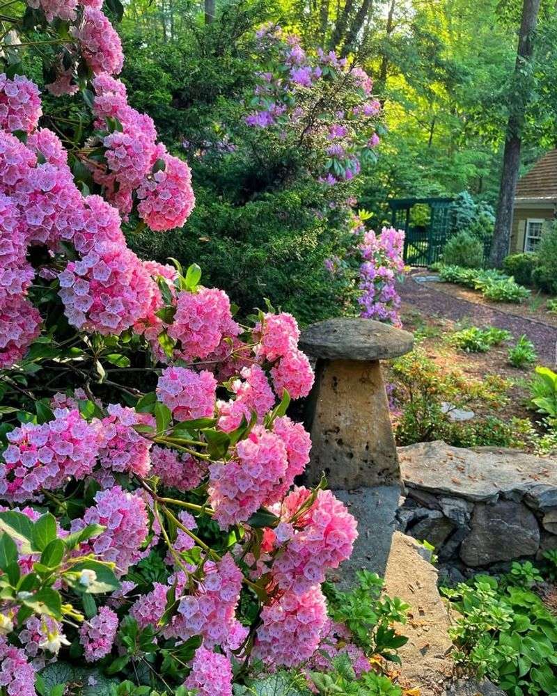 Native Plant Thrives in Local Conditions