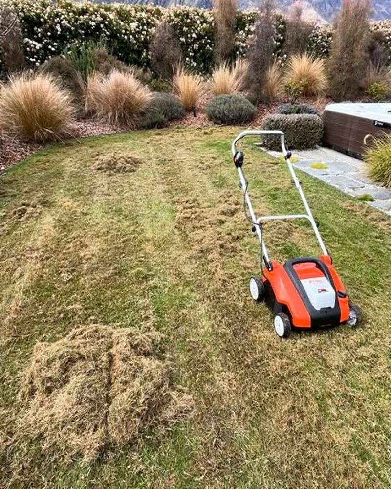 Grass Gets Better Access To Water And Nutrients