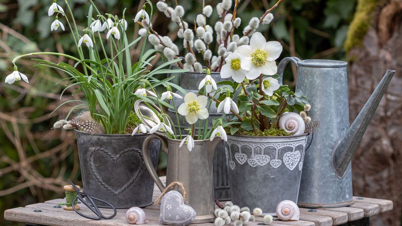 Master Winter Watering Techniques