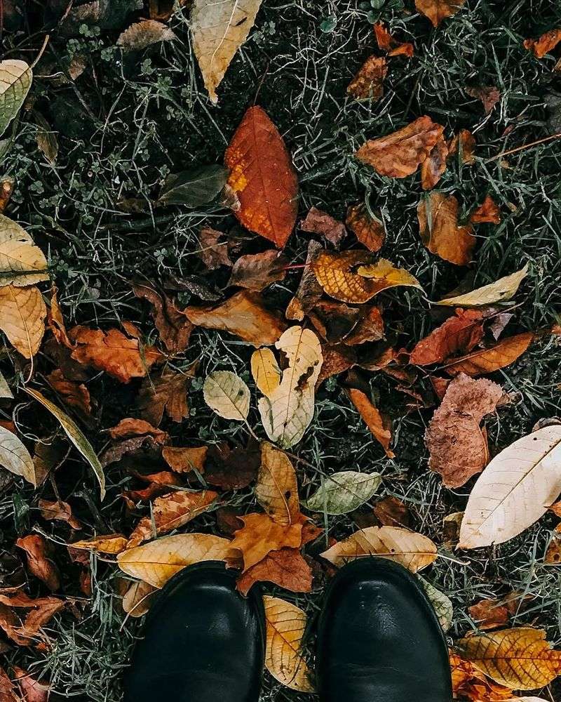 Walking Across Your Yard Feels Slippery