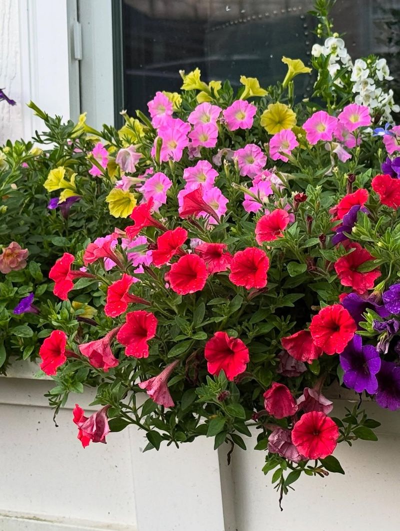 Endless Color Options Match Any Patio Style