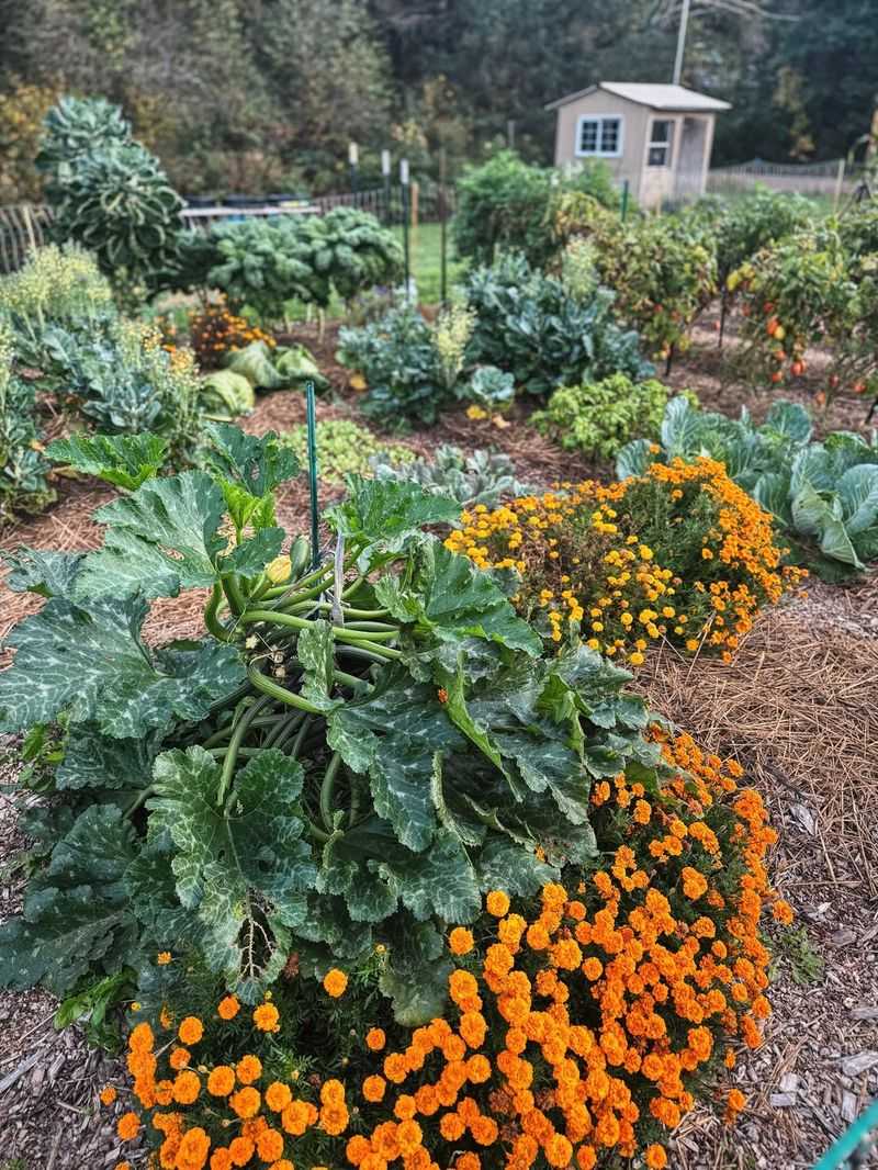 Add a Layer of Protective Mulch