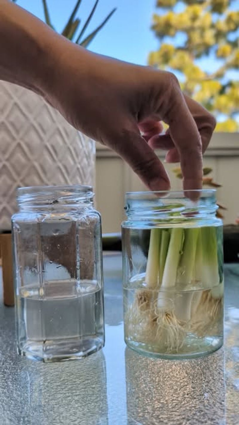 Change Water Regularly