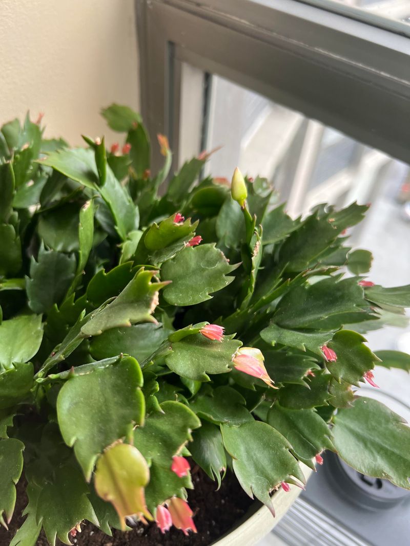 Ignoring Temperature Changes