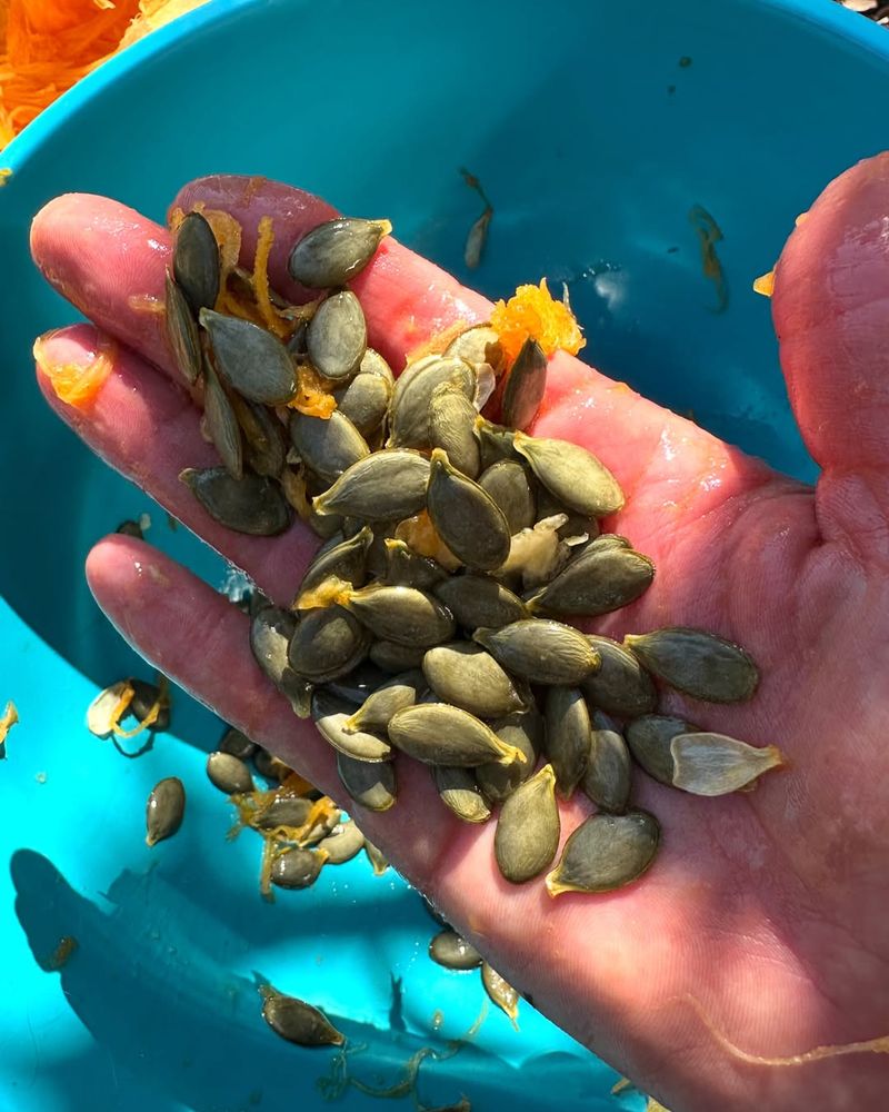 Craft Seed Tape For Easy Spring Planting