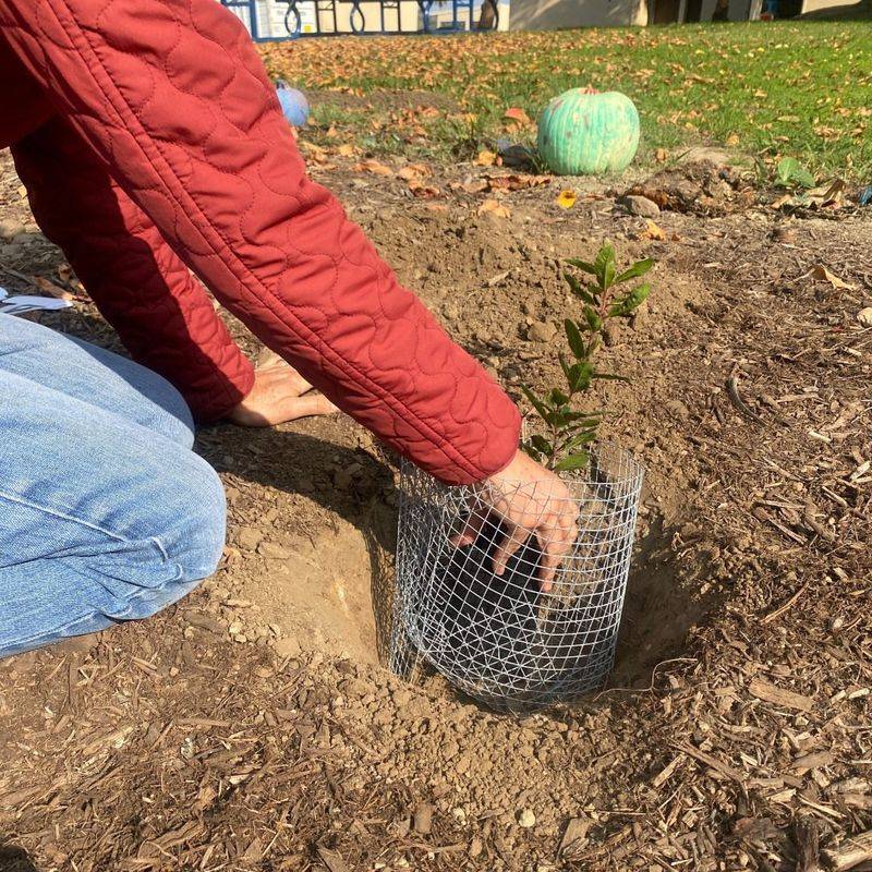 Install Underground Wire Mesh Barriers