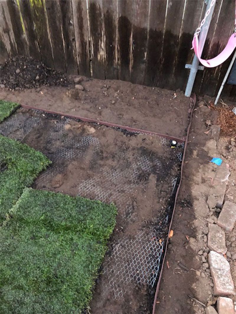 Install Underground Wire Mesh Barriers
