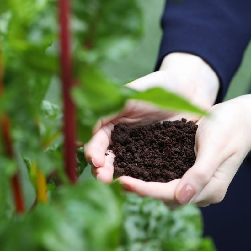 Use Coffee Grounds In Tunnel Openings