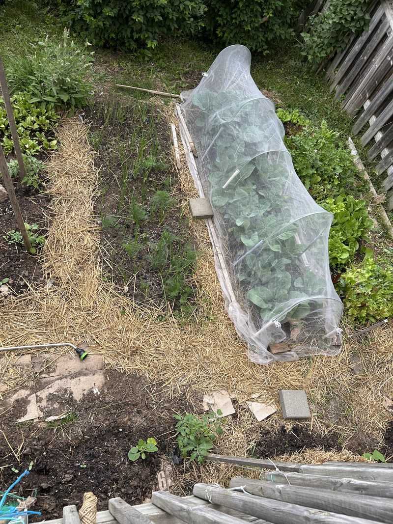 Use Row Covers and Frost Blankets