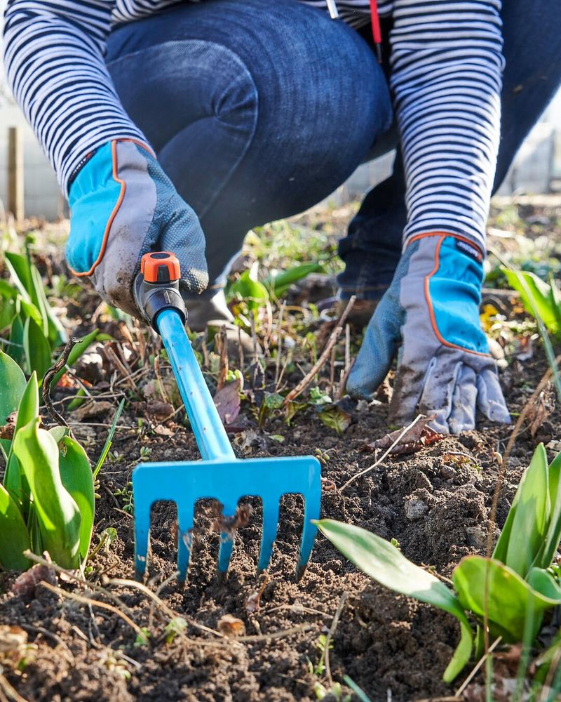 Clear Out Weeds And Debris