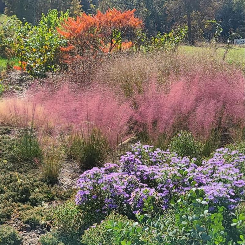 Choose Native Perennials For Long-Term Success