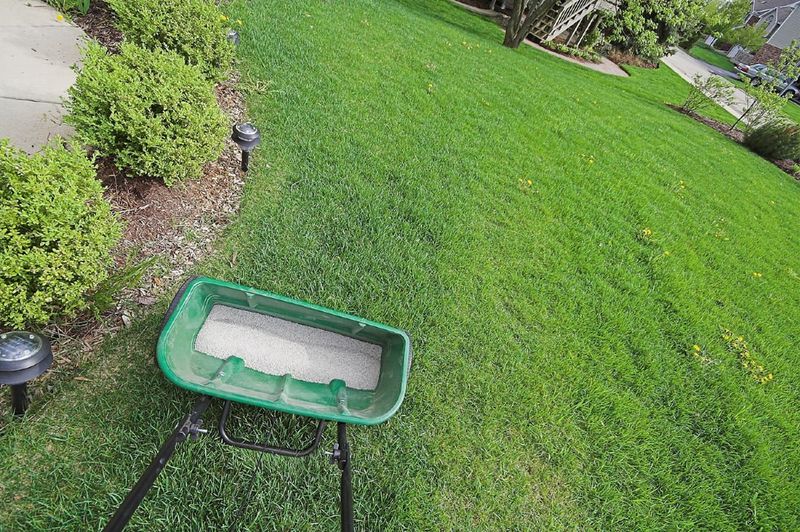 Fertilize Your Lawn One Last Time