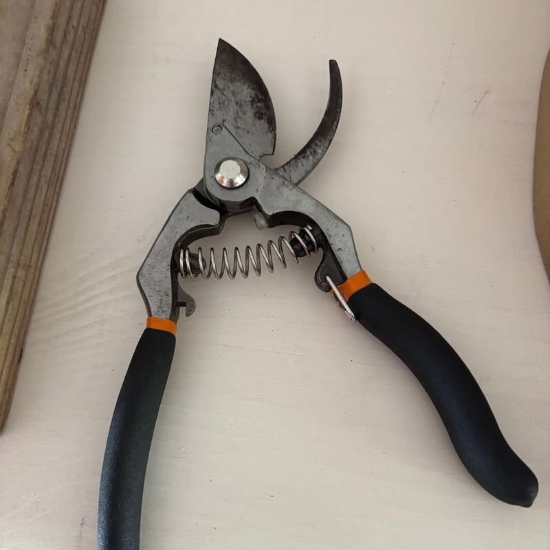 Clean And Sharpen Garden Tools