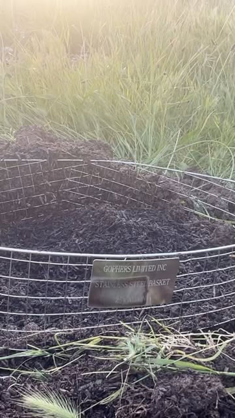 Installing Underground Wire Mesh Baskets