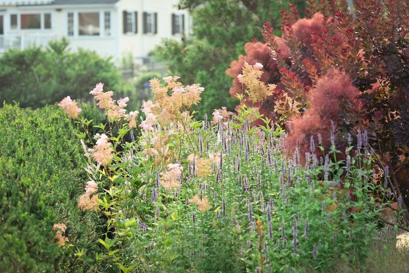 Winterizing Your Yard Isn't Necessary In Texas