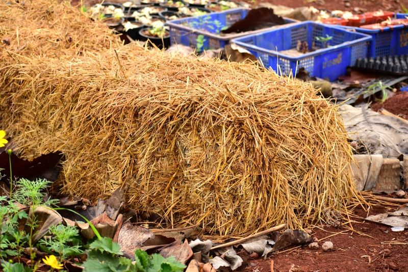 Hay Bales Placed Against Garden Beds