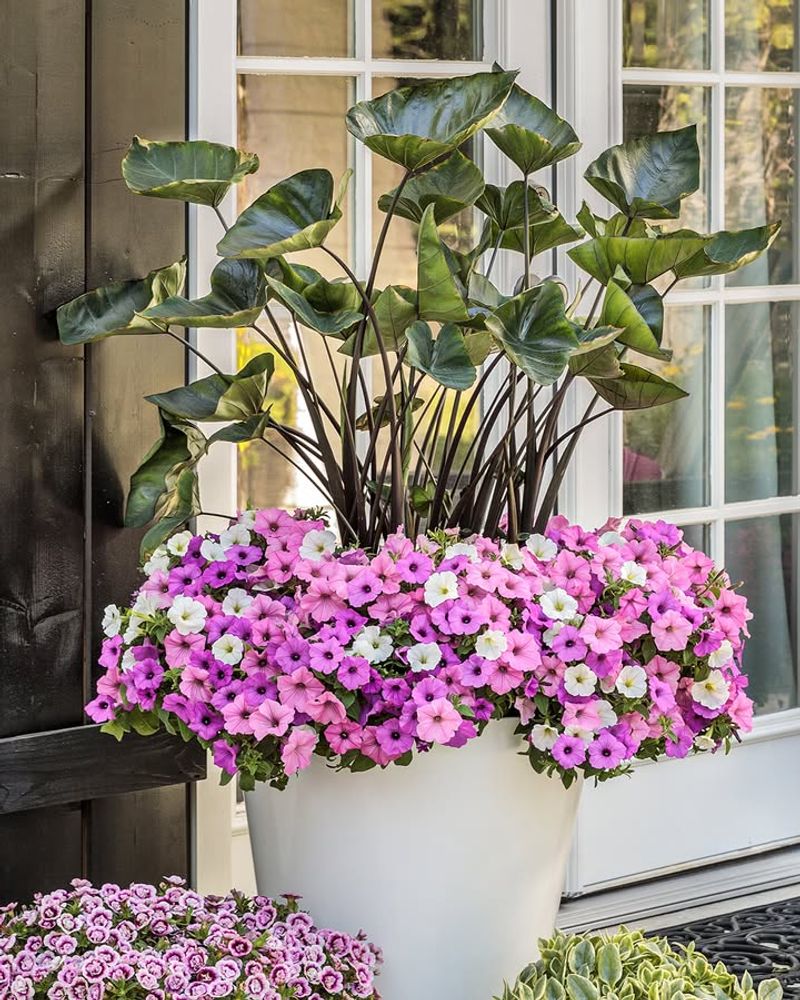 Versatile Growing Options For Any Patio Size