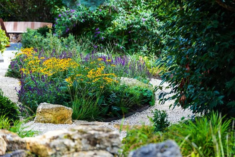 Woodland Edge Plantings