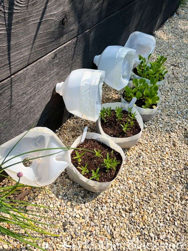 Winter Sowing Techniques