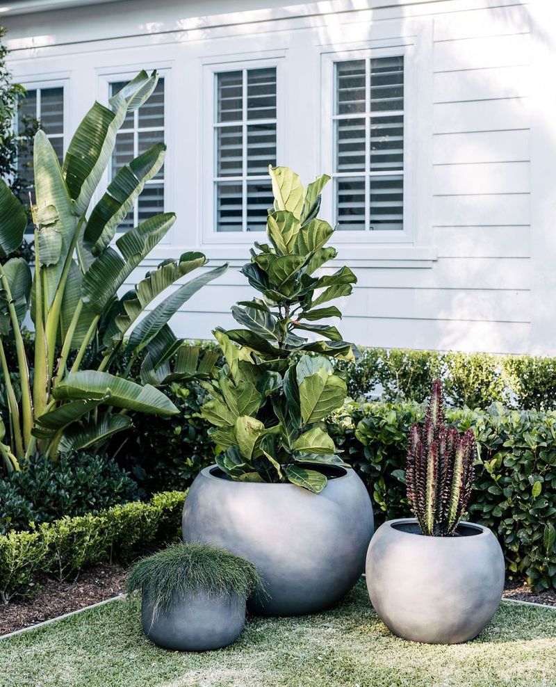 Arrange Potted Plants in Clusters