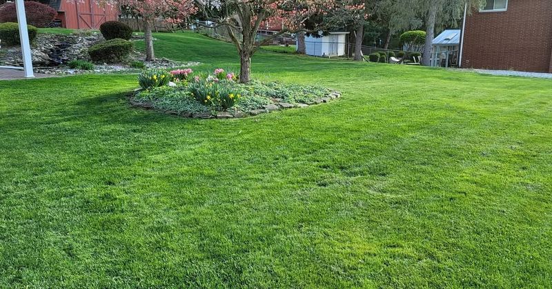 Preventing Weeds Now Means Less Work In Spring
