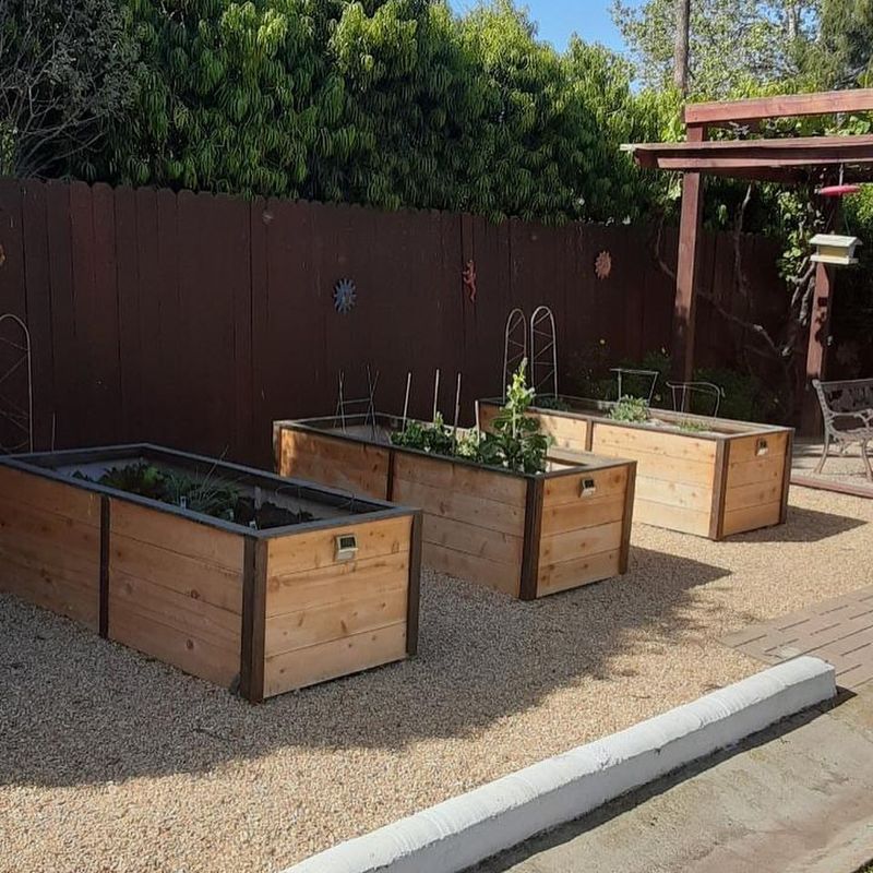 Pressure-Treated Lumber Raised Beds
