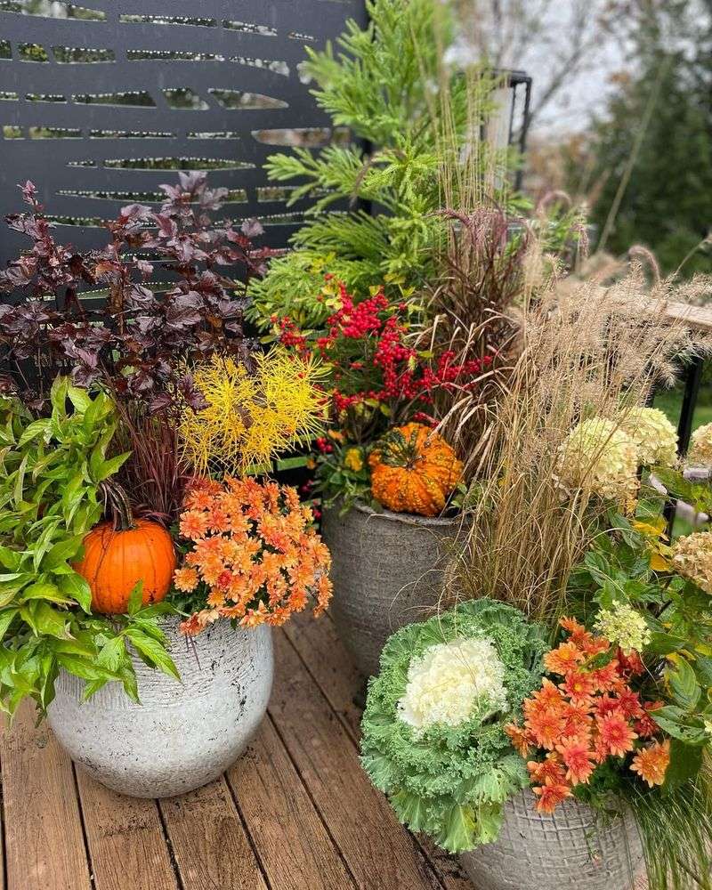 Plant Colorful Annual Flowers In Bare Spots