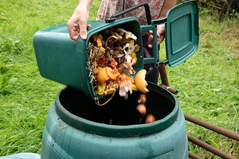 Build Healthy Soil With Organic Matter