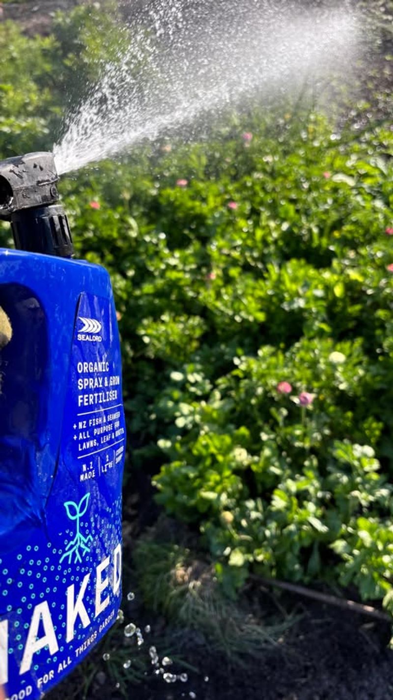 Plant Cover Crops To Enrich Soil Over Winter