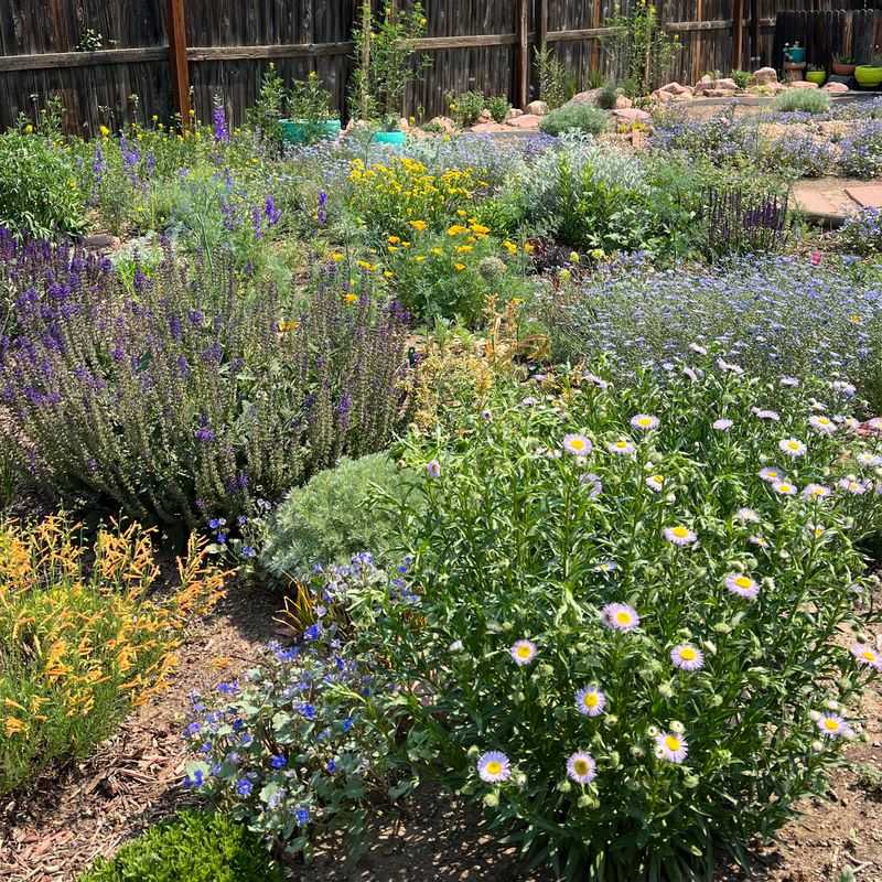 Use the Right Size and Type of Gravel