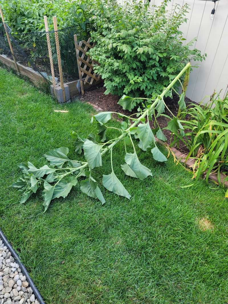 Prepare For Prairie Winds