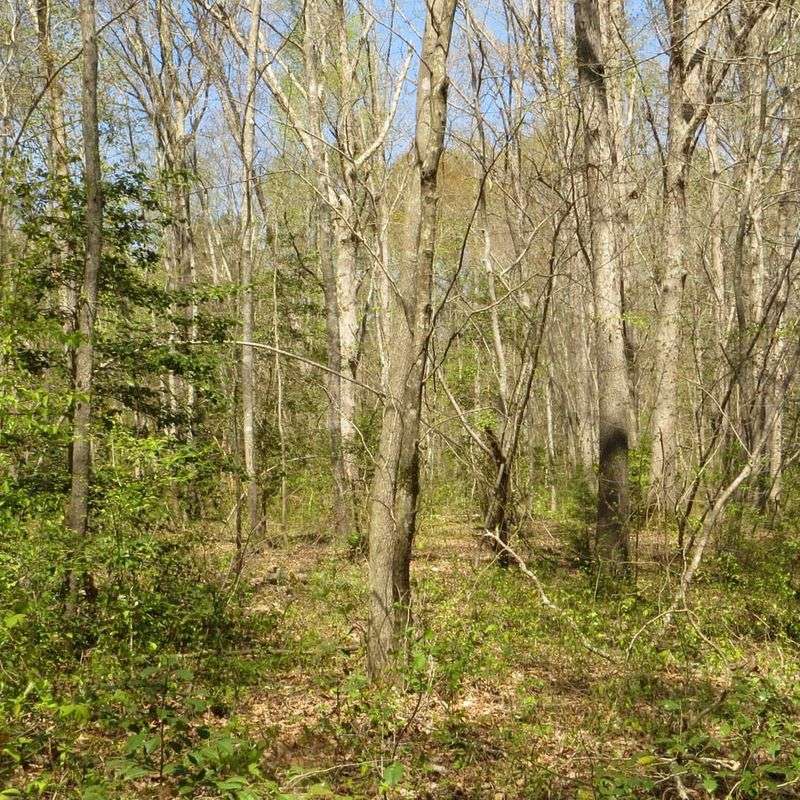 Recreational Land Restrictions