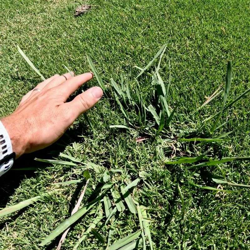 Reduces Matting From Ice And Snow