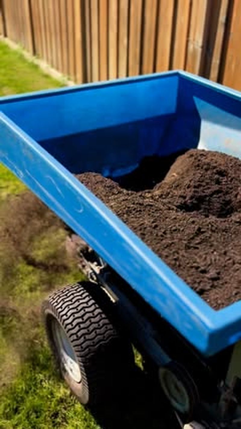 Enhances Seed Germination