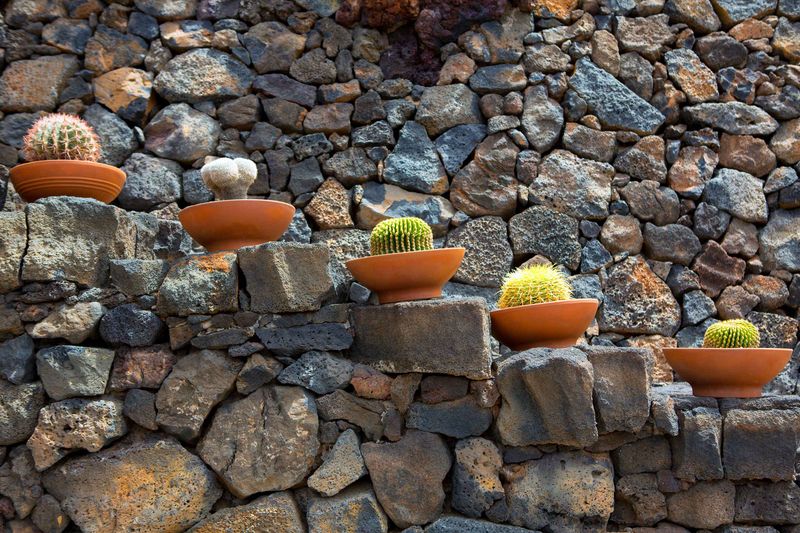 Cactus-Friendly Stone Wall