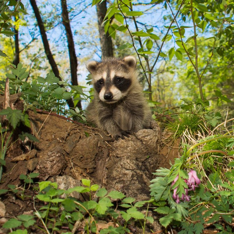 Motion-Activated Lights Deter Nighttime Activity