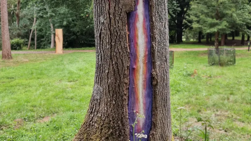 Ash Tree Protection Program