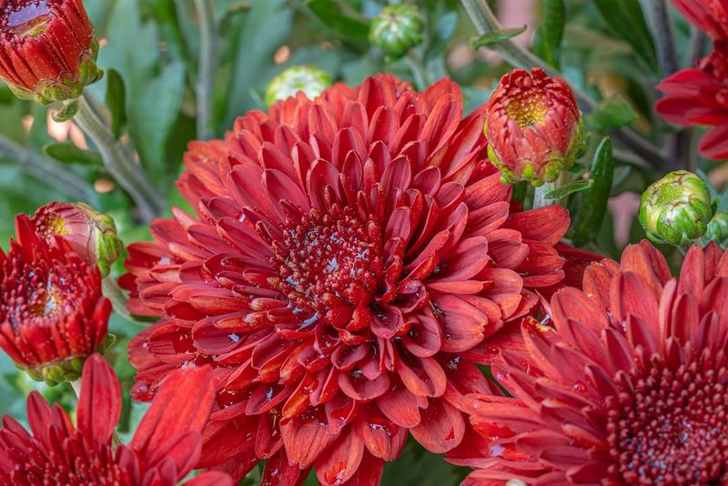 Avoid Overhead Watering Methods