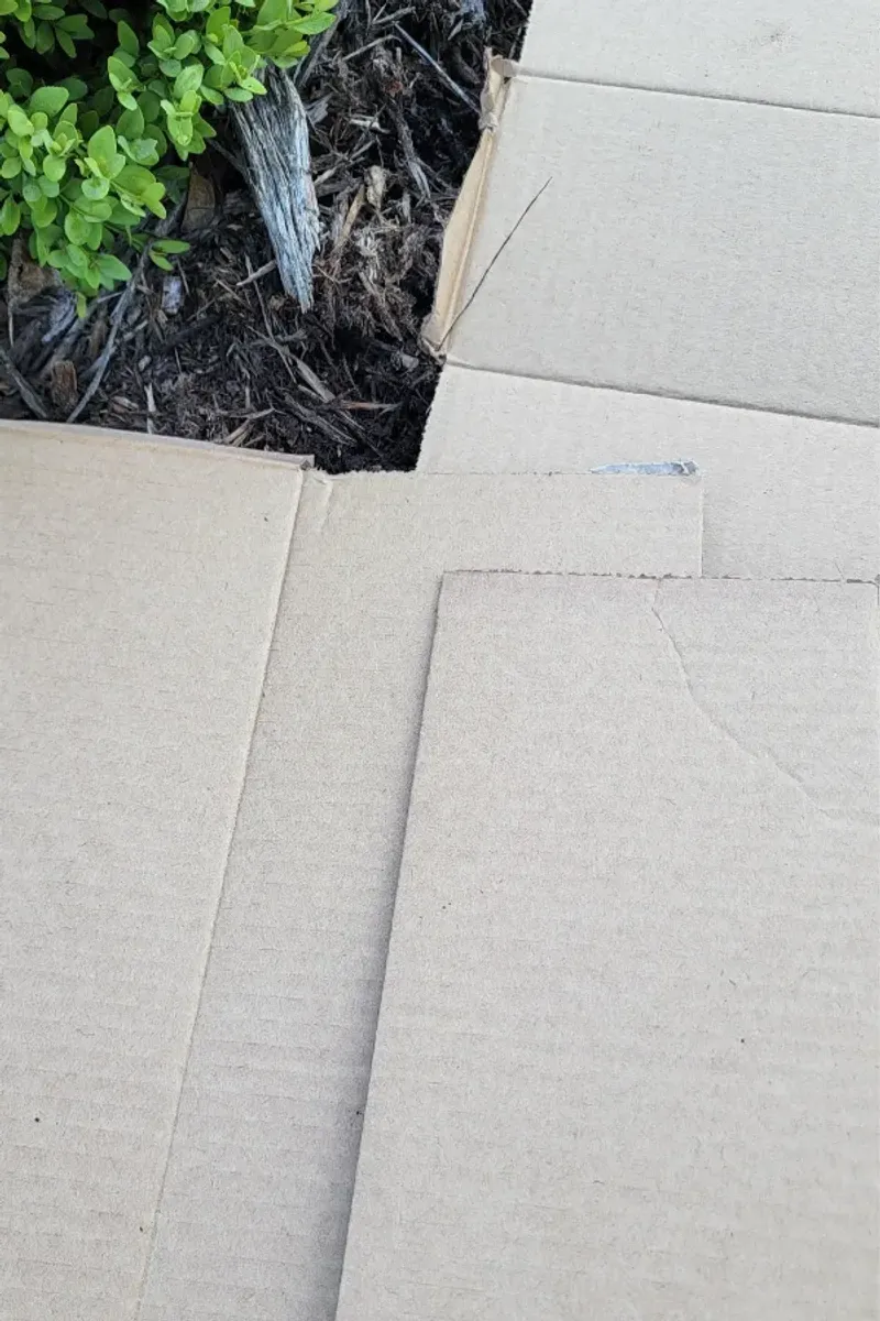 Smother Stubborn Grass Before Starting New Beds