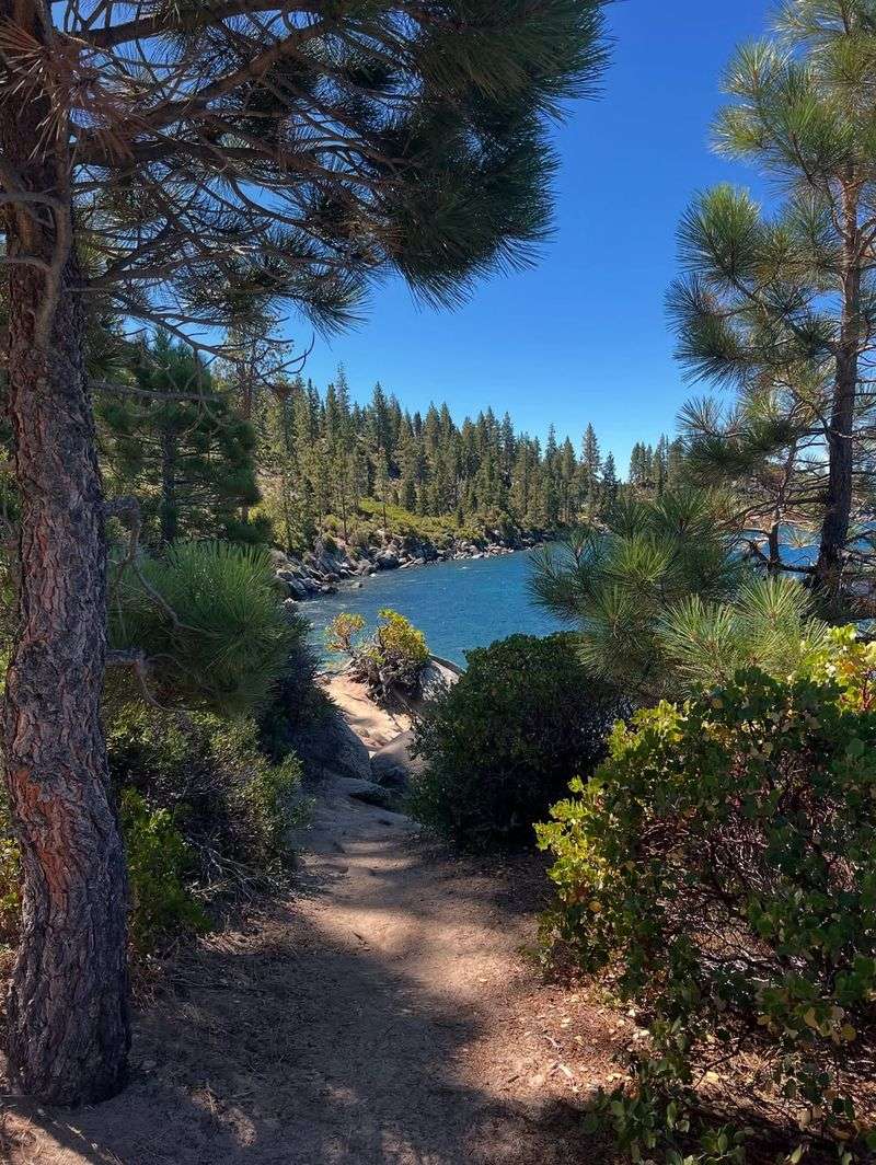 Clear Visibility Year-Round