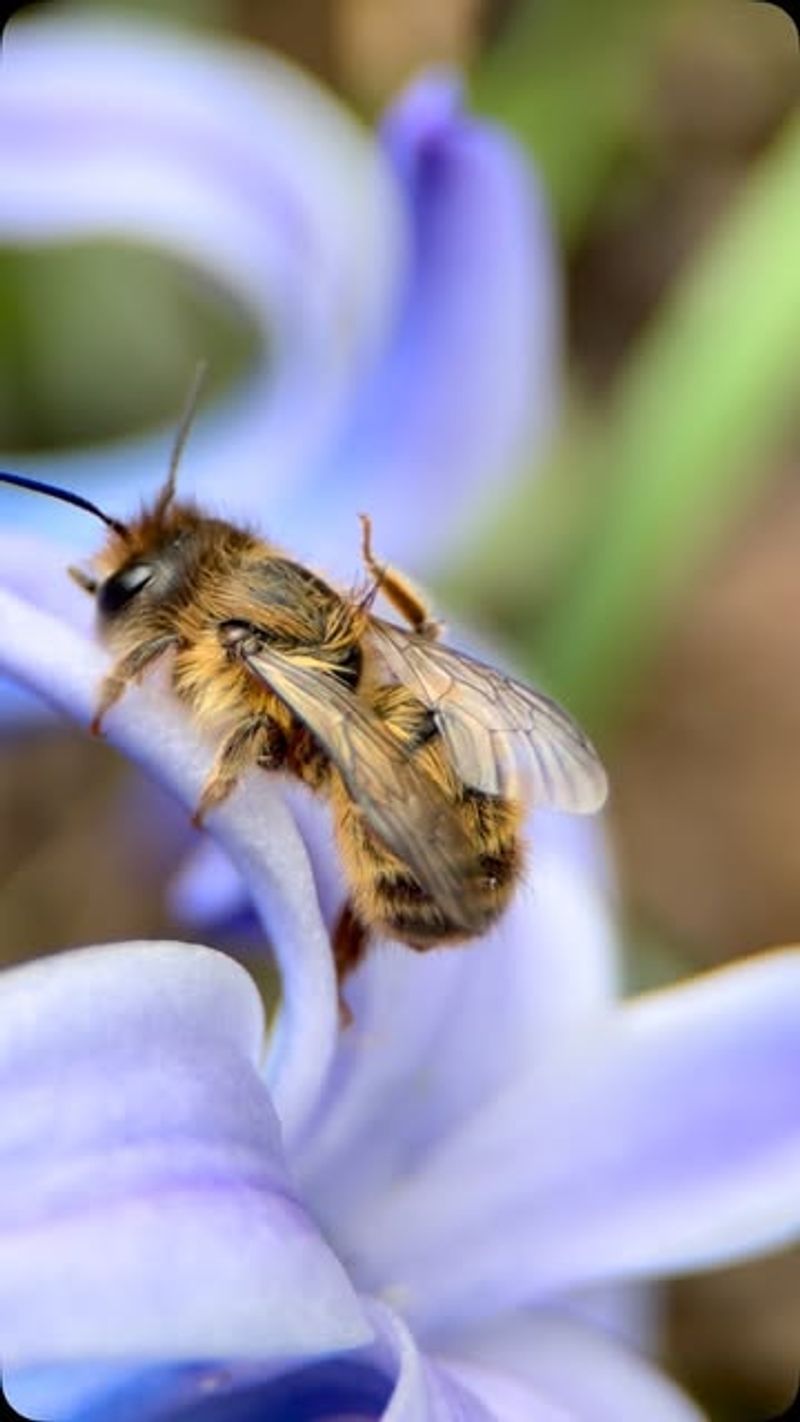 Skip The Fall Pesticides And Herbicides