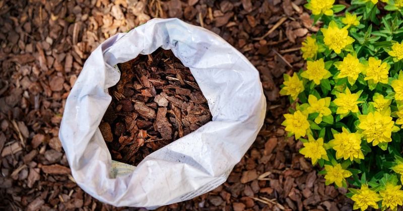 Mulch to Lock in Moisture