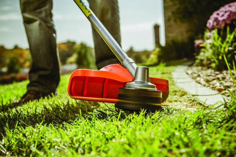 Remove Immediate Hazards
